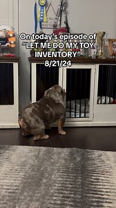For the 4th time today! 🙄 His count must of came up short?!? 🥴 | Tabitha Moore