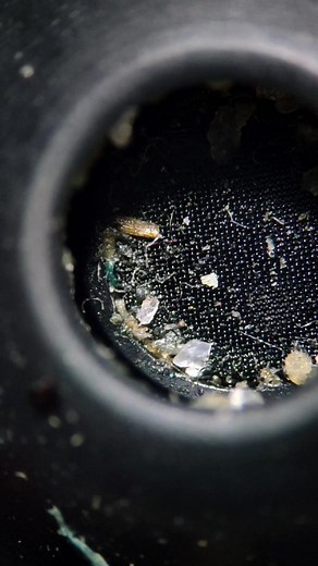 Exploring Microscopic Samples Under the Microscope