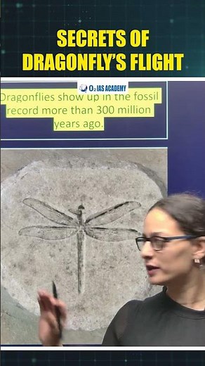 How do Dragonflies Fly? #upsc