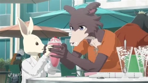 Beastars Edit: Juno & Alidesidero