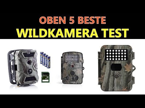 Beste Wildkamera Test 2021