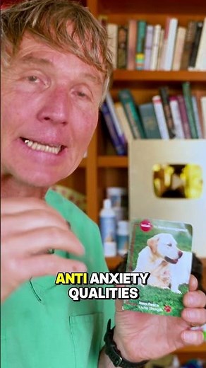 The Natural Anti-Anxiety Ingredient Hidden in Milk #doganxietyhelp #doghealth #holisticvet