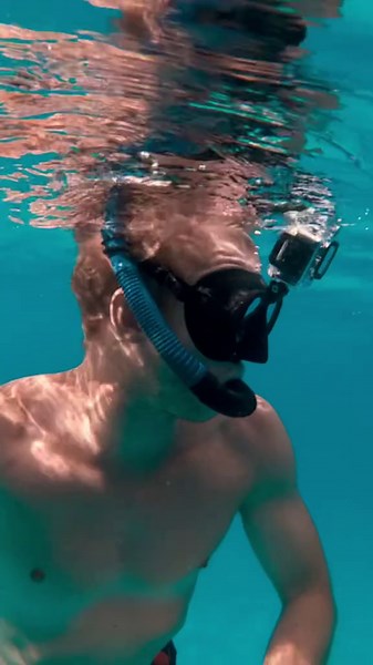 You Won’t Believe These Amazing Dolphins in Action!