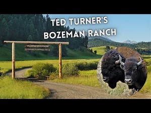 3000 Buffalo Roaming Bozeman, Visiting the Flying D Ranch