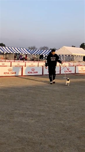 Toshiyuki Kimura on Reels