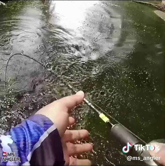 MS_angler on TikTok