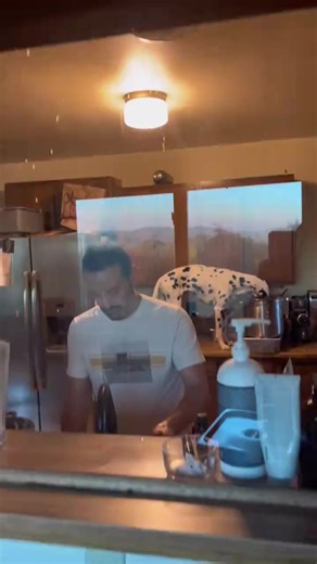 Hunger Games😂 New videos every day Follow me :) #funnycats #funnyanimals #petvideos #funnydog #dogsofttiktok