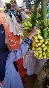 7K views · 282 reactions | Satu hari kondangan 2 kali | Grafting Examples | Facebook