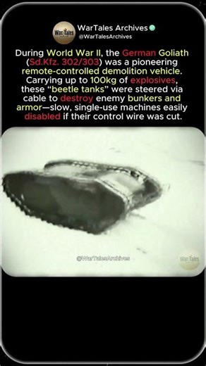 German Goliath: WW2’s Mini Tank with 100kg Bomb