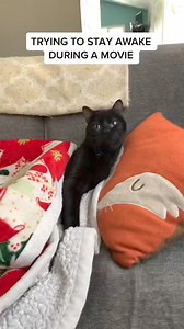 105K views · 5.6K reactions | It me | Willy Wonky & Charlie Bear | Facebook