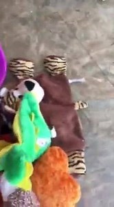 I could play w them all day 󾌸󾇛 | Stella's Hope