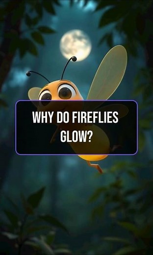 How Do Fireflies Make Their Glow?