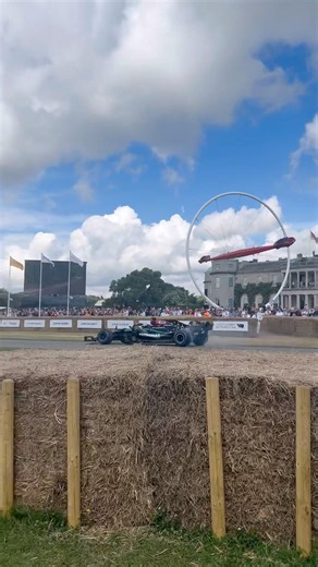 Mercedes W11 Burnouts At Goodwood