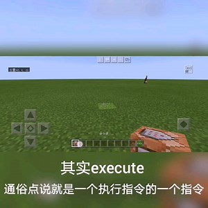 指令教学 四十期 execute的一些用法