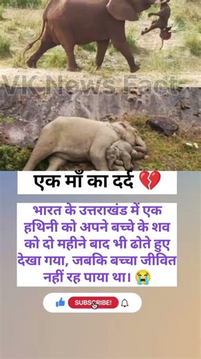 #gaffarbhai