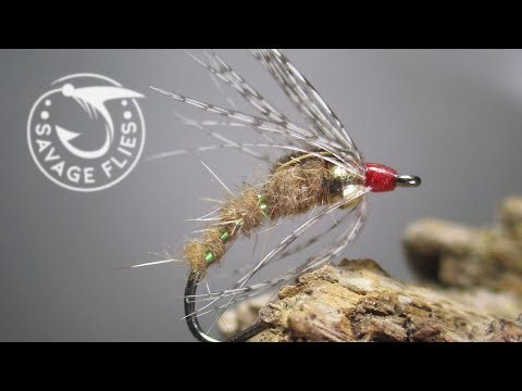 Tying the Holy Grail Nymph (caddis pupa fly pattern)