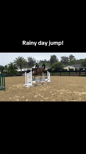 Jumping Techniques for Equestrian Riders