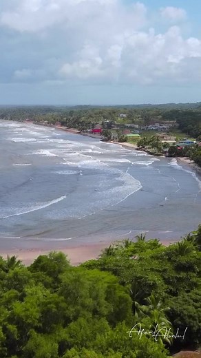 Exploring the Natural Beauty of North Manzanilla Beach