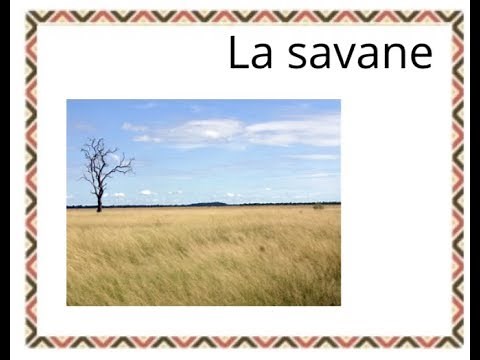 documentaire savane en maternelle