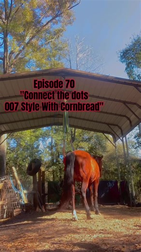 InnerOdyssey (@innerodyssey2space)’s videos with James Bond Theme - Nicholas Dodd