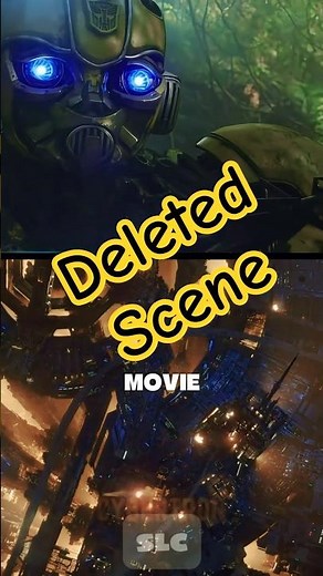 The TOP 3 Bumblebee Facts You Missed!