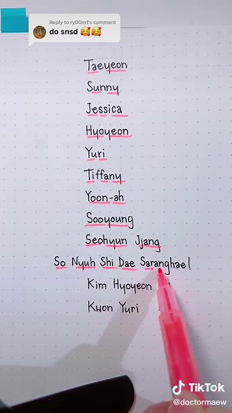 Girls' Generation Concert Fan Chants Compilation