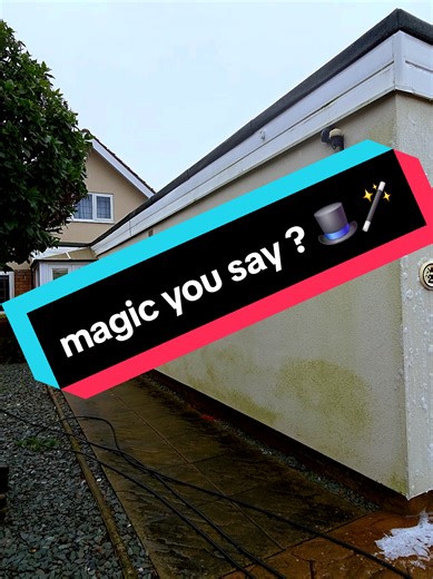 Effective Methods to Eliminate Algae from Your House