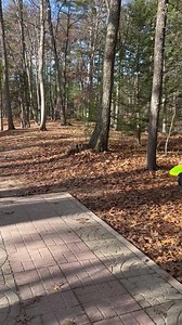 88K views · 1.7K reactions | Mako3 ACE 麗 累 Danny Moynihan | Innova Discs | Facebook