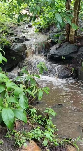 Riachinho ressurge em Guarabira-PB depois das chuvas