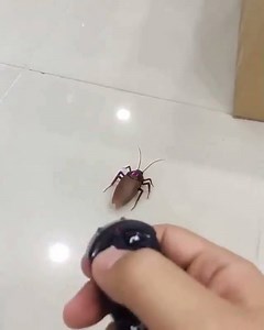 New toy. Anyone want some? 😱 Credit: unknown | Live Happy Deals