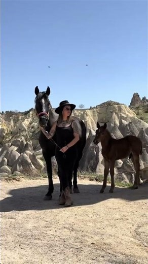 L’équitation à travers le monde