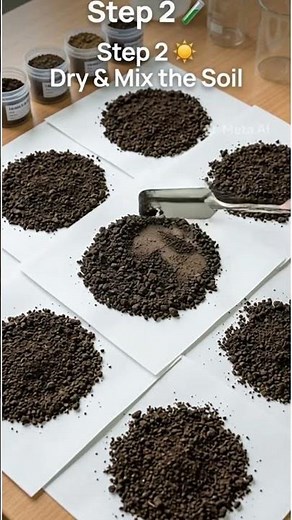 Soil testing 101 – beginners guide