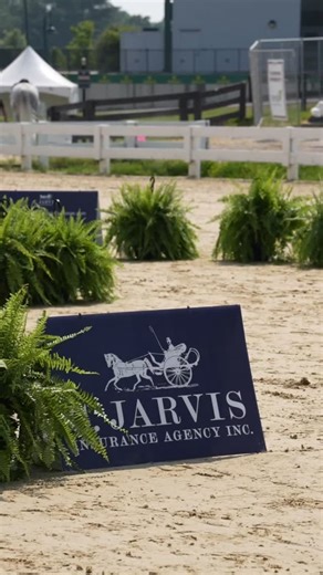 22 reactions | The C. Jarvis Insurance Horse Inspection is complete! Ready for some CSI2* action this week!  | Split Rock Jumping Tour | Facebook