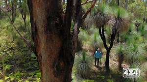 A superb journey taking in Tenterfield, Wunglebung Station, Rocky River, some amazing tracks and lookouts and finishing up at Rover Park. Check it out this Sunday on TEN at 2pm | Pat Callinan's 4x4 Adventures