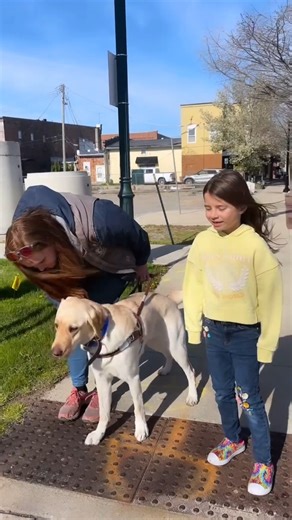 4.4K views · 105 reactions | It is great for our guide dogs in...