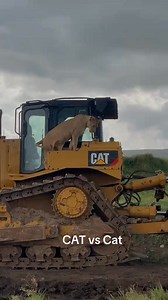 CAT VS CAT #excavator #operatorexcavator #excavatrice #technology #cranes #reelsfb | Excavator Work