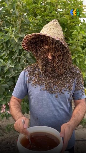 🍯 Honey Export from India: A Natural Global Opportunity By Harsh Dhawan India has emerged as a significant exporter of natural honey, leveraging its rich biodiversity, varied floral sources, and growing compliance with global quality standards 🌼🌍. Indian honey—such as mustard, eucalyptus, lychee, sunflower, and forest honey—is highly valued in international markets for its purity, taste, and medicinal properties. The demand for Indian honey is rising steadily in key importing countries includ