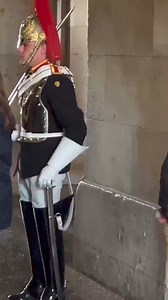 99K views · 1.4K reactions | The FASTEST Guard in History, The King's Guards Horse In London..! #thekingsguard #horseguards #horses #london #thekingsguards #thekingsguarduk #visitlondon #thequeensguard #unitedkingdom #kingcharles #royalfamily #england #tourists #kingguard #uk #ukculture #uktravel #shout #royalguards #tourist #disrespect | King's Guards England | Facebook