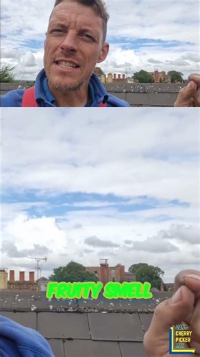 When the Air’s a Bit… Fruity! 😂 Roof Repairs in a “Special” Area