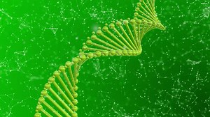 Dark Green Plexus Dna Background