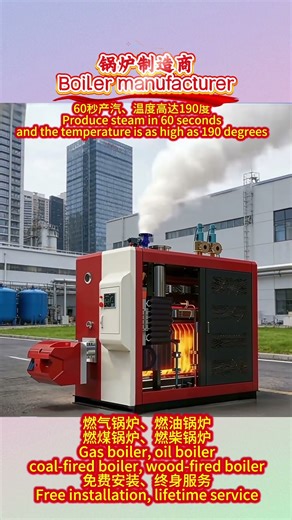 我们的工业蒸汽锅炉符合国际标准（ISO、CE、ASME），提供95%以上的热效率和稳定的蒸汽输出。