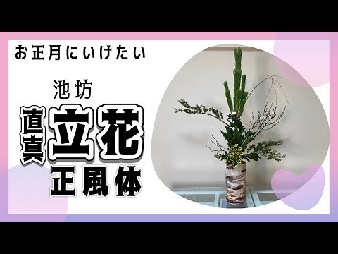 池坊【いけばな Ikebana】お正月『直真 立花』正月の基本 長持ち【flower】 🌸 【生け方 How to make】