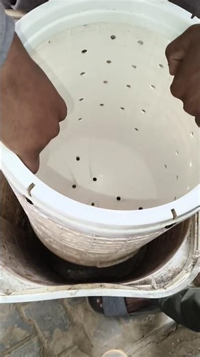 water shell short video