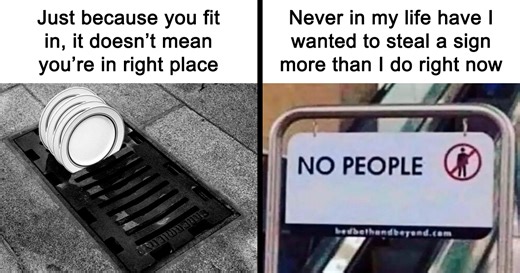 50 Funny Memes If You Need A Good Laugh Today (New Pics)