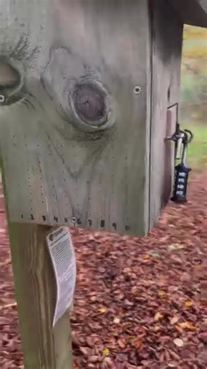 🔋 This geocache is charged up! 🔋 #geocaching #geocache #geo