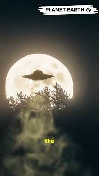 1980 Rendlesham Alien Sight #knowledgejourney #fypシ゚viral #aliens #ufo
