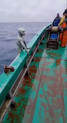 #OceanClips #DeepOcean #DangerousSea #MarineLife