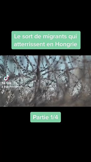 grandreportage_ sur TikTok