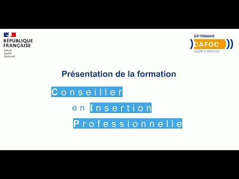 CIP (Conseiller en Insertion Professionnelle) - Présentation de la formation