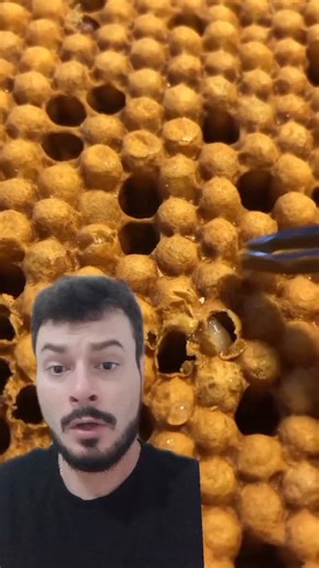 5.3K views · 1.2K reactions | A Varroa destructor é um dos maiores...